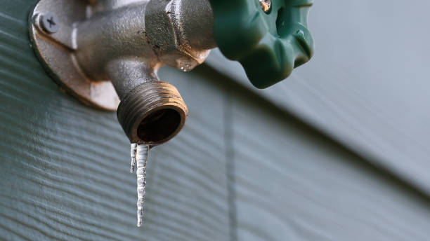 Best Residential Plumbing Services  in Summerlin South, NV